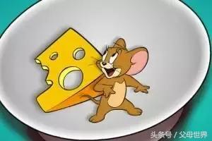 补钙的奶酪是哪种最好,补钙奶酪