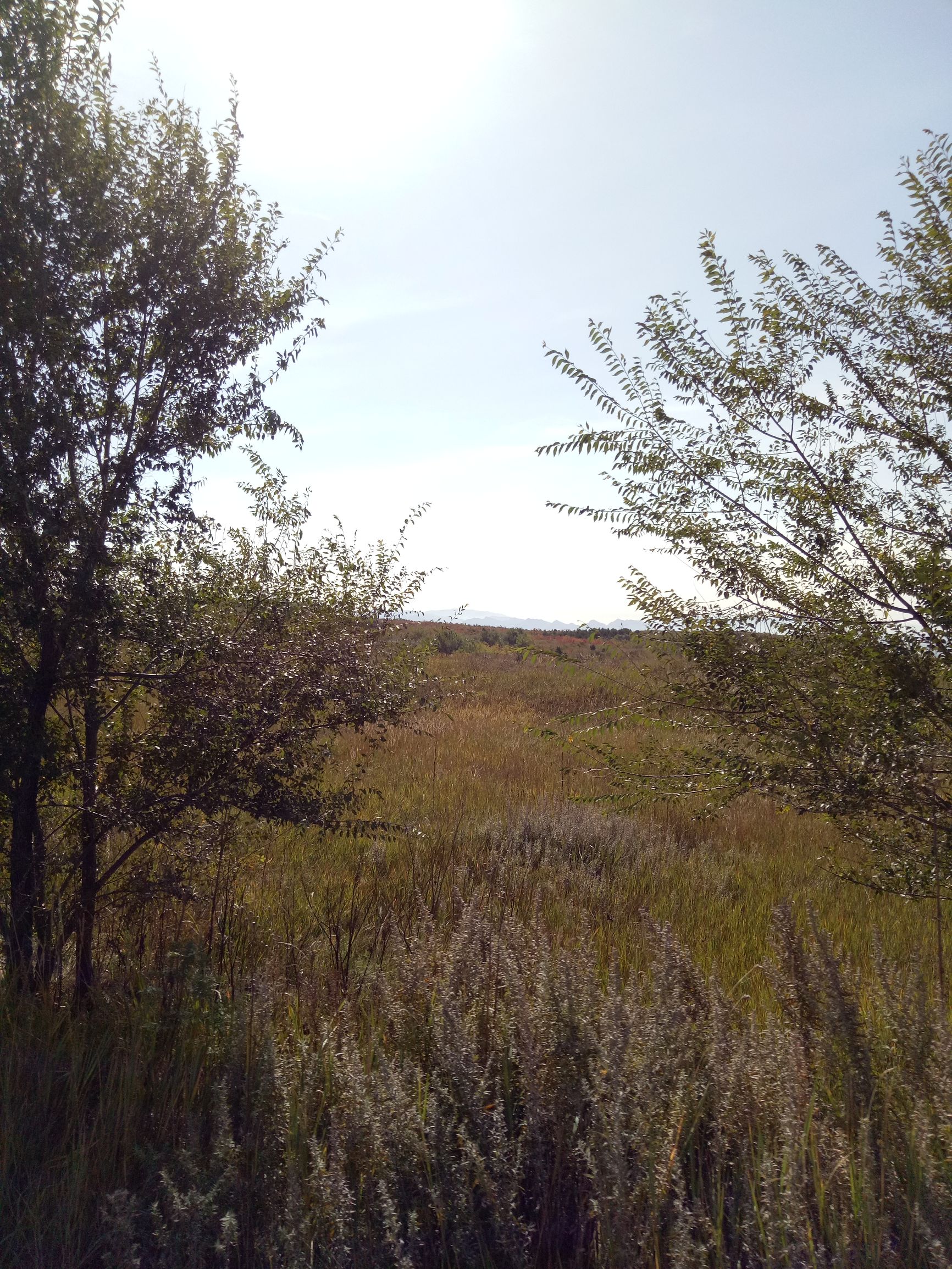 张北的草原天路之旅,张北天路攻略