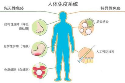 生物免疫治疗癌症,癌症生物治疗和免疫治疗有区别吗