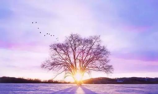 秋冬早上喝的营养汤简单做法,秋冬必备营养汤配方