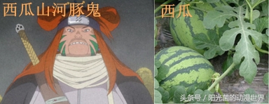 火影忍者忍刀七人众的武器图片,火影忍者忍刀七人众简介