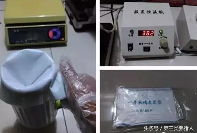 种公猪的睾丸有营养吗,种公猪饲料营养表