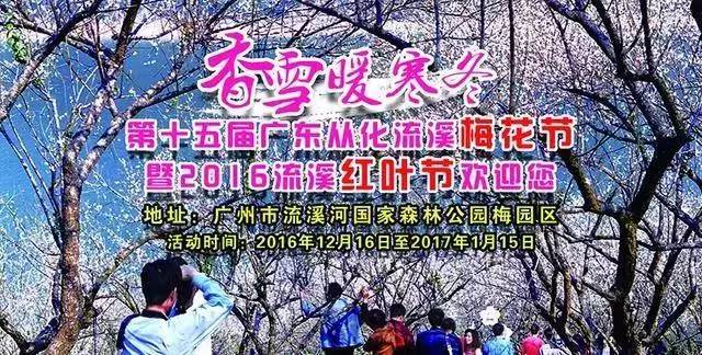 元旦跨年广州去哪玩免费,元旦去哪儿玩广州附近