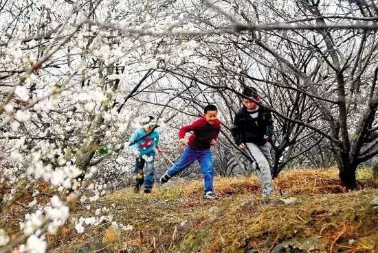 元旦跨年广州去哪玩免费,元旦去哪儿玩广州附近