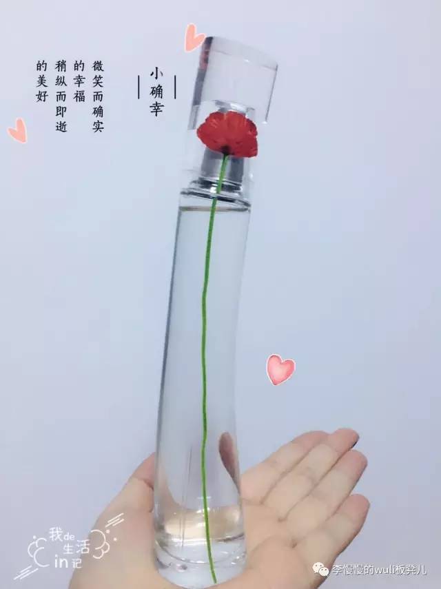 吃土少女必备十大好物,吃土少女必备100个好物