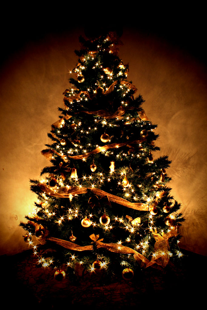 圣诞模式怎样装饰圣诞树,手把手教你圣诞树