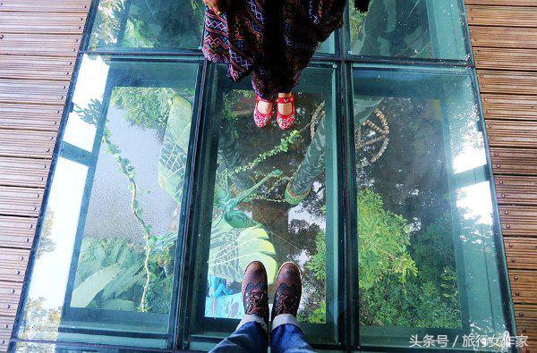 西双版纳避寒城市,冬日西双版纳市区