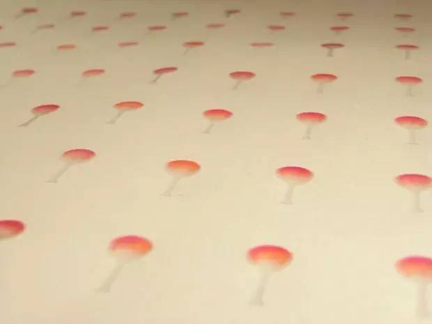 纸电池原理,纸电池概念电池