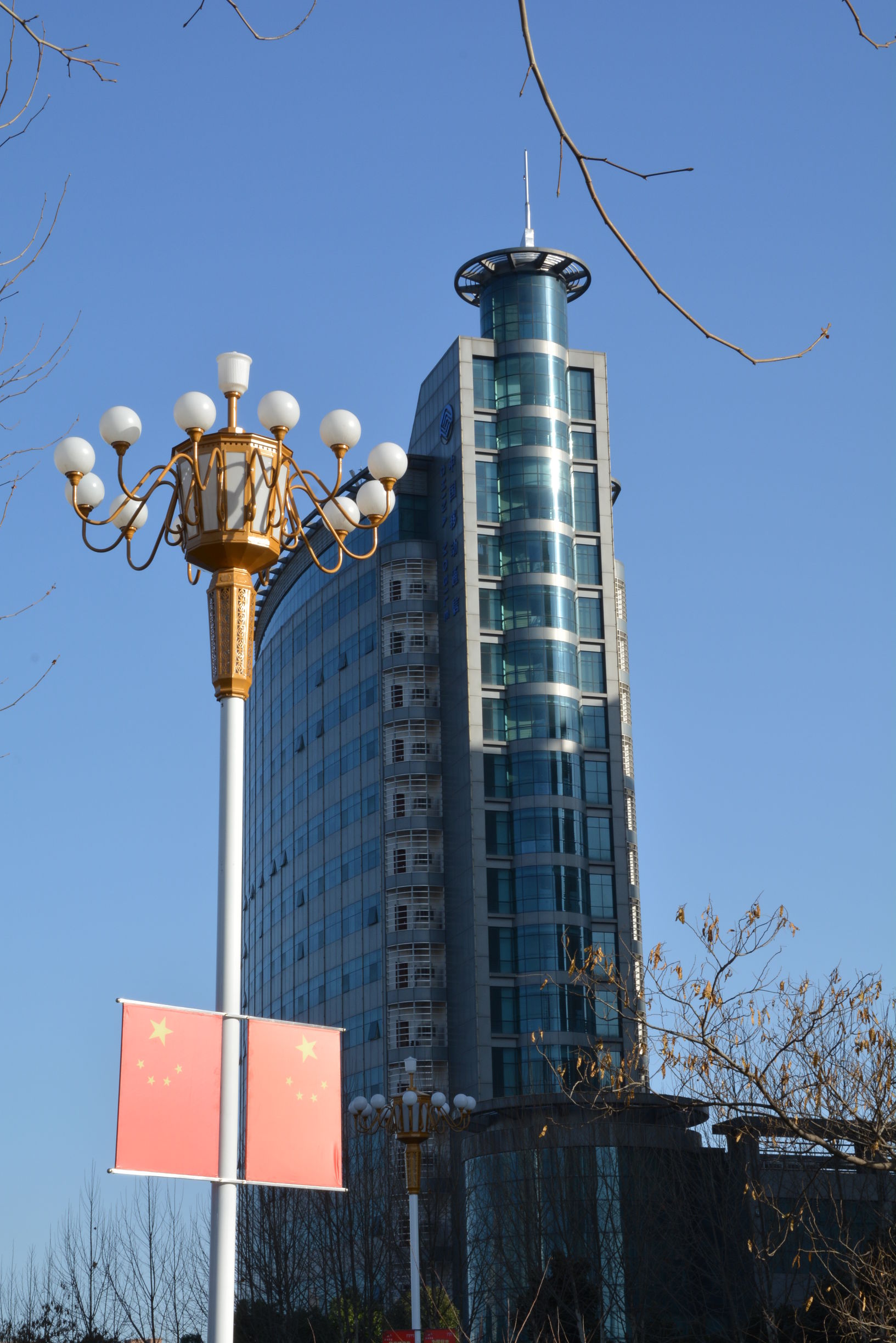 尼康D5200扫街，狗头基本够用