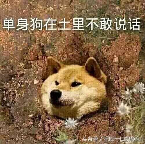 分享·听说圣诞节要来了，吃了这波毒安利