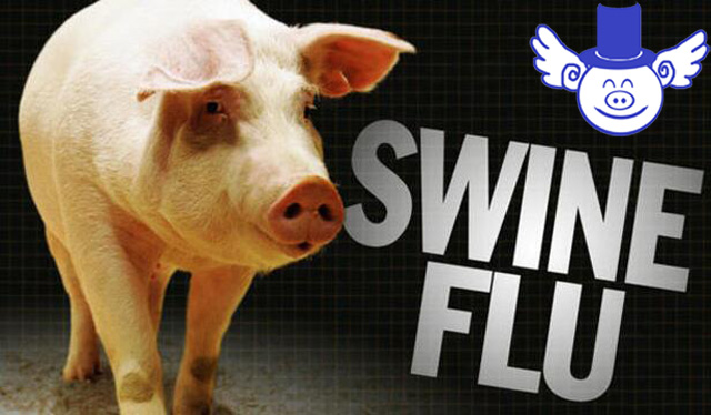 猪流感最佳预防方法,猪流感最好的偏方