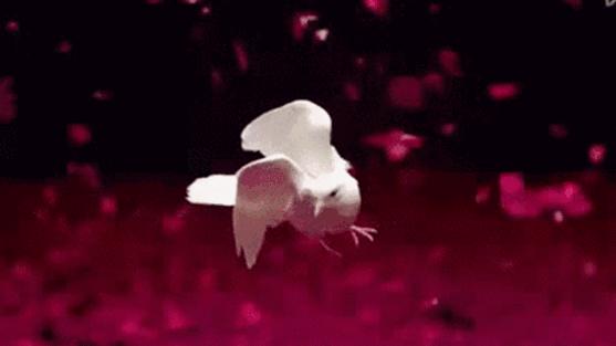 他被纳粹*害迫**，“玩拼图”玩出诺贝尔奖，打脸《Nature》