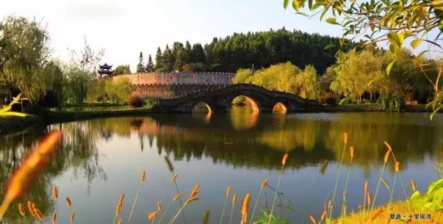 当新西兰的空气叫卖到699元每罐的时候，咱婺源人民不淡定了！