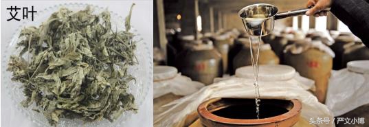 艾叶的功效与作用及食用方法总结,艾叶的功效及禁忌有哪些