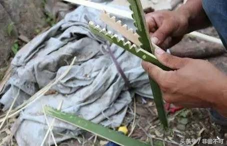 农村大叔用这个土方法，一晚上抓好几十斤黄鳝