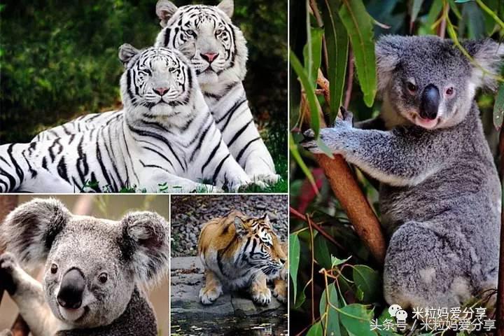 广州亲子游5天自由行不累,适合带宝宝去的亲子游