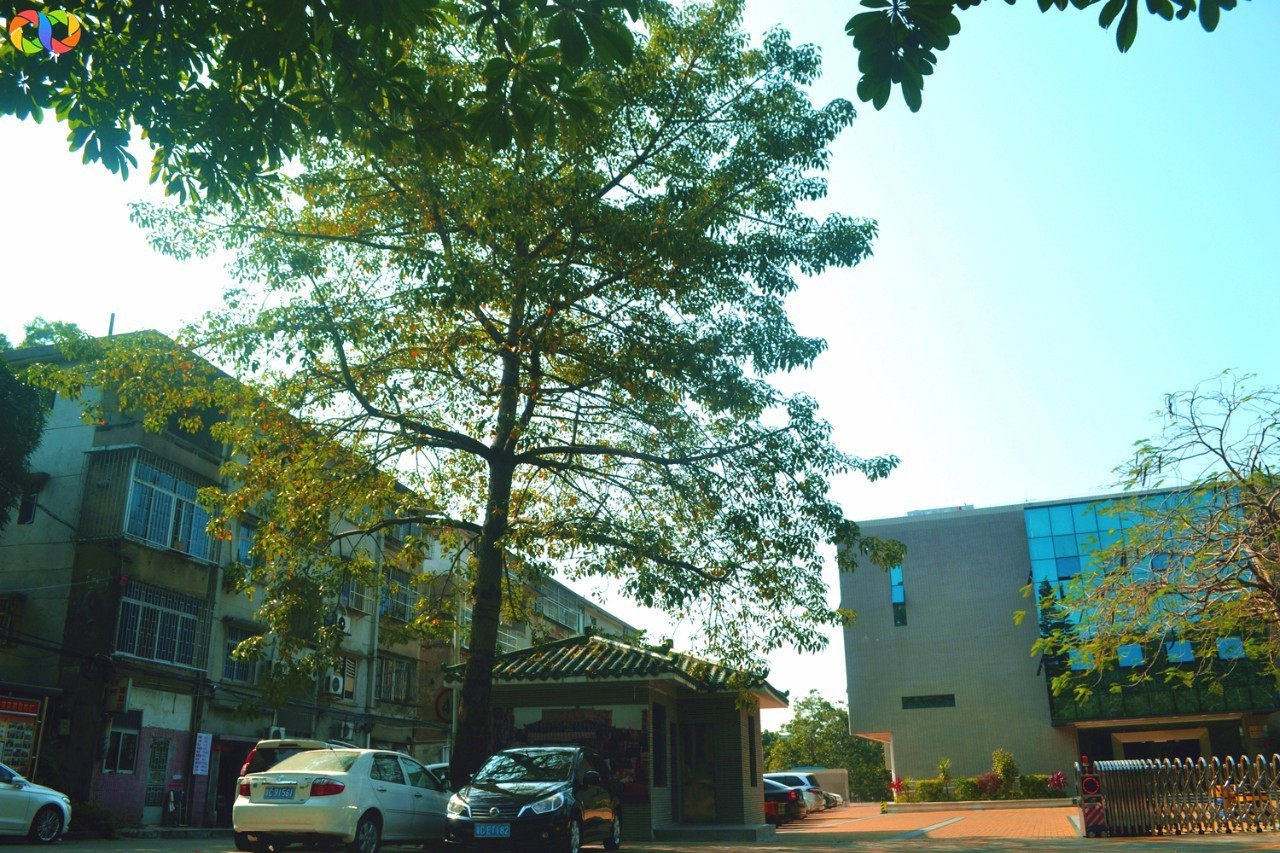 你愿意陪我走过春夏秋冬,你愿意陪我走一条很长的路吗中文