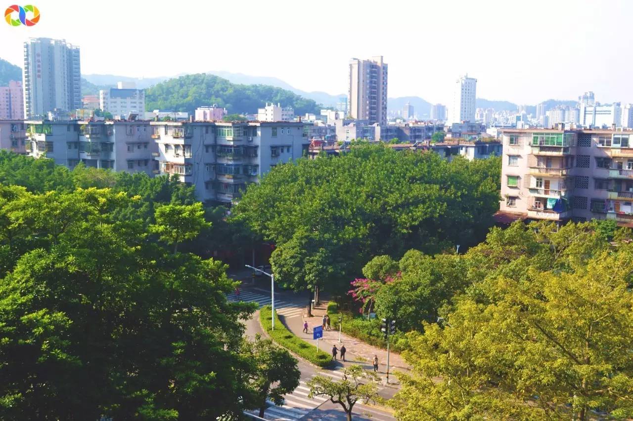 你愿意陪我走过春夏秋冬,你愿意陪我走一条很长的路吗中文