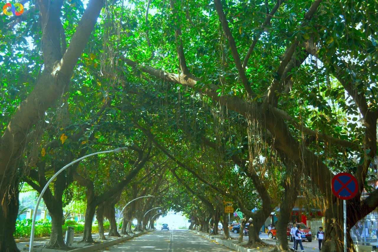 你愿意陪我走过春夏秋冬,你愿意陪我走一条很长的路吗中文