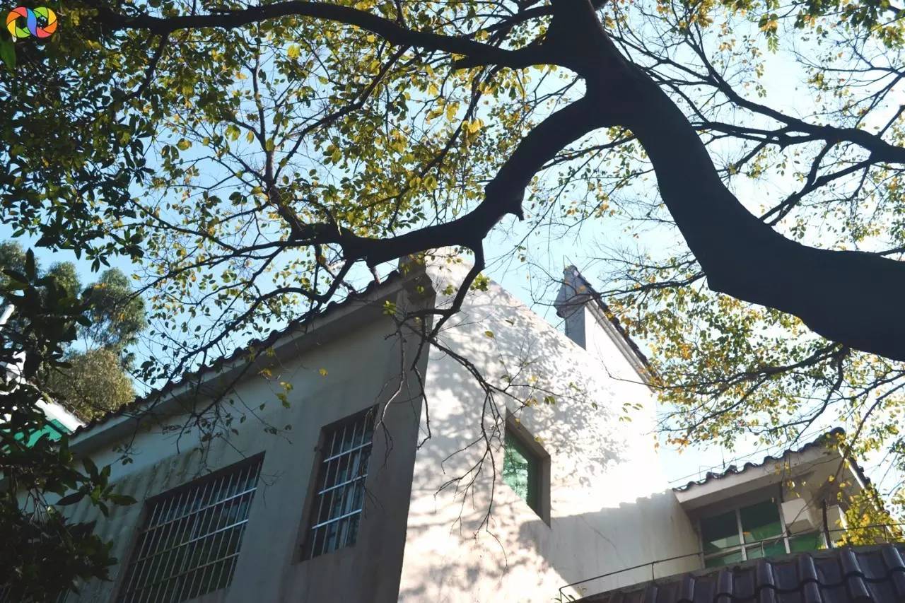 你愿意陪我走过春夏秋冬,你愿意陪我走一条很长的路吗中文