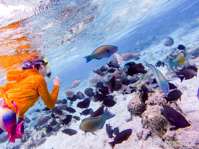 塞班岛冬季旅游攻略,塞班岛春节旅游视频