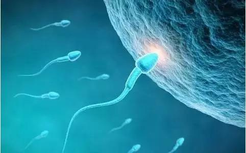 继杀精之后,可乐又多一个“损伤基因”的罪名