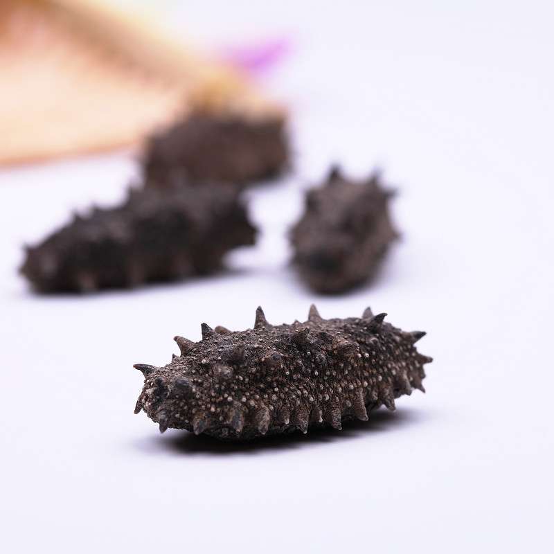 十大骗人保健品海参,骗人的海参