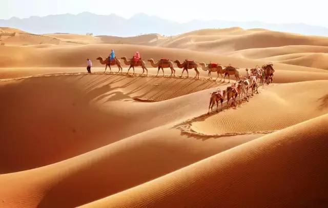 想学靳东那样去探险?先学会绳索速降再说