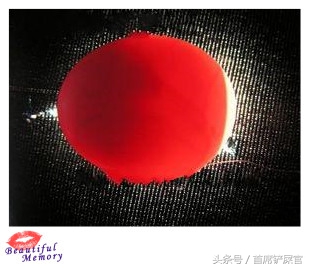 虎皮鹦鹉繁育期间注意事项,虎皮鹦鹉怎么快速产蛋