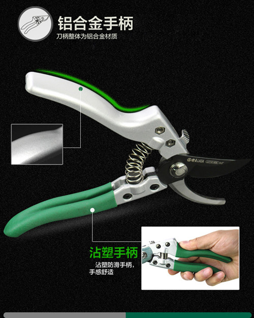 鍥灄鍓灊鍓垁,鍥灄缁垮寲鍓垁