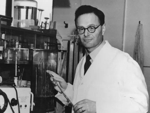 他被纳粹*害迫**，“玩拼图”玩出诺贝尔奖，打脸《Nature》