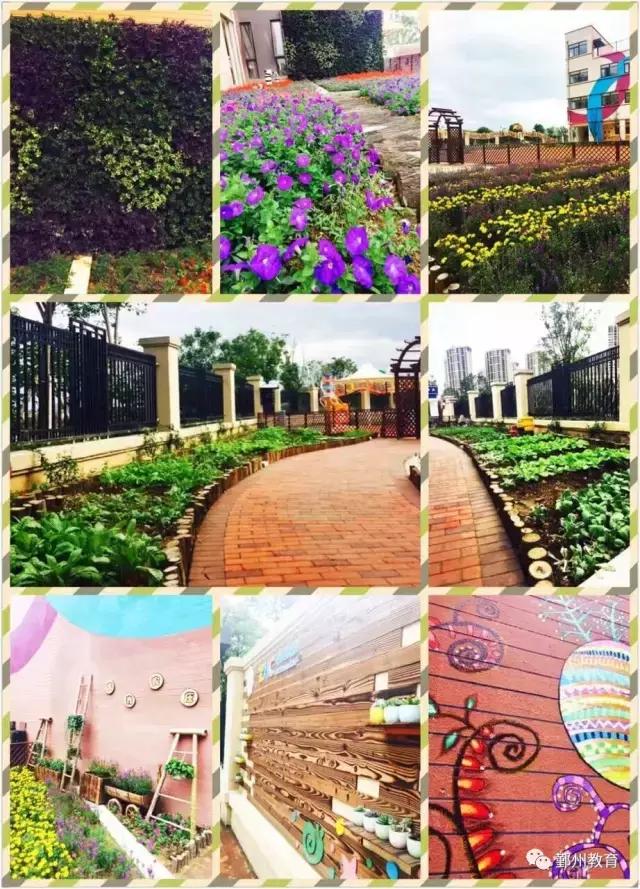 看完振奋，下应东南片区教育配套大爆发！