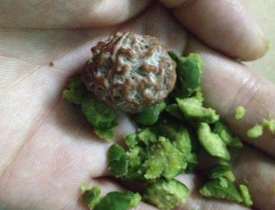 金刚菩提手串为什么那么便宜,为什么金刚价格不一样