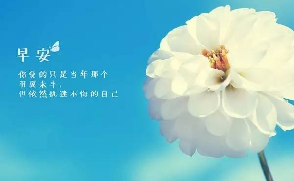 微商早安心语正能量一句话简短,微商朋友圈早安心语正能量图片