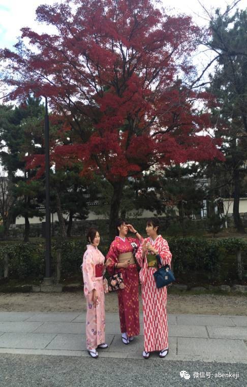 京都大阪名古屋旅游攻略,东京大阪名古屋京都自由行