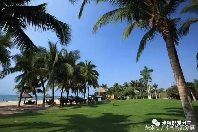 广州亲子游5天自由行不累,适合带宝宝去的亲子游