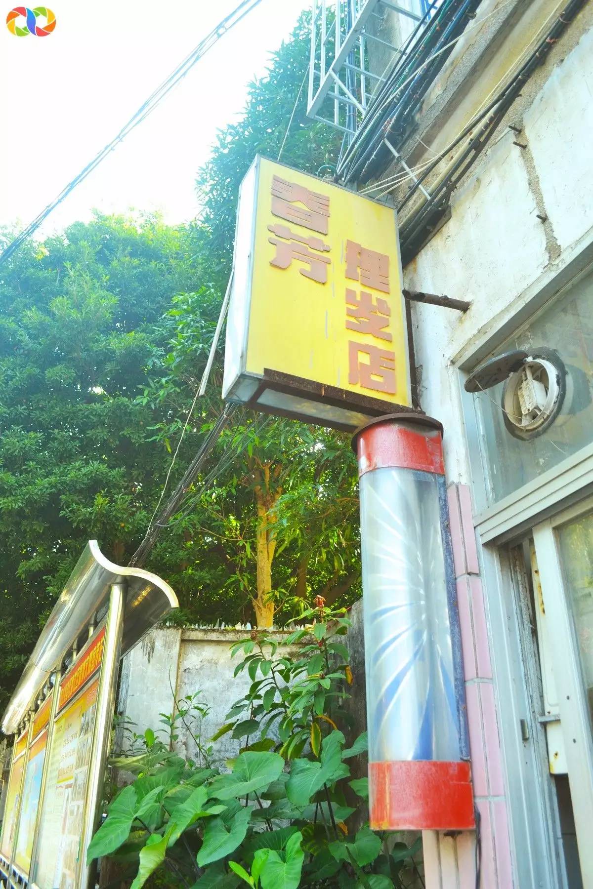 你愿意陪我走过春夏秋冬,你愿意陪我走一条很长的路吗中文