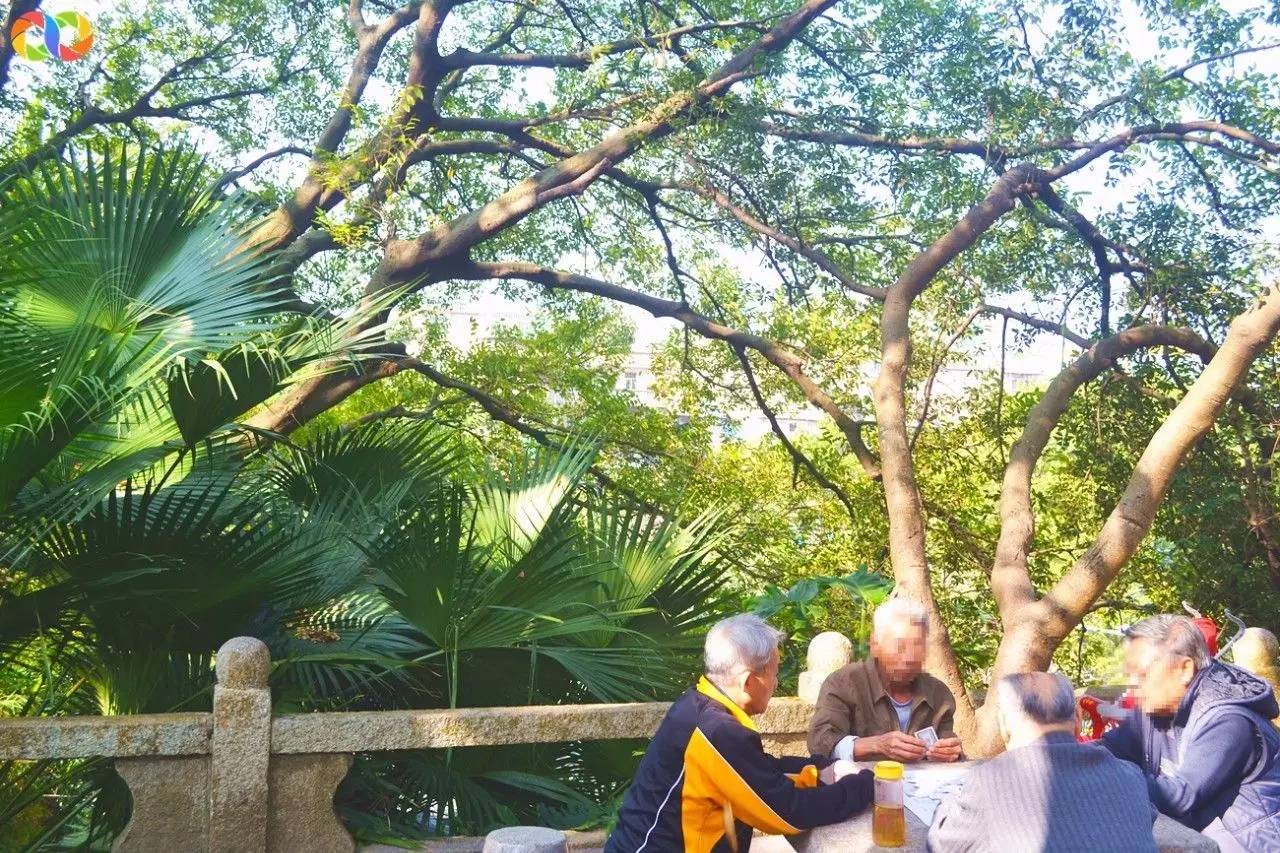 你愿意陪我走过春夏秋冬,你愿意陪我走一条很长的路吗中文