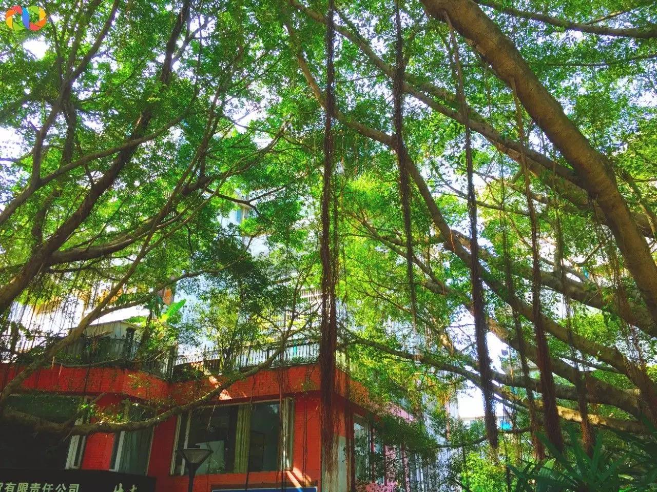 你愿意陪我走过春夏秋冬,你愿意陪我走一条很长的路吗中文