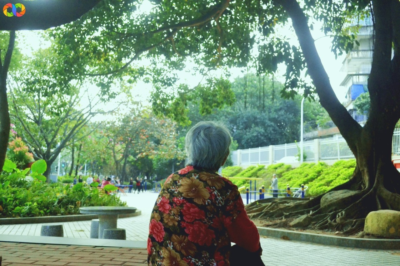 你愿意陪我走过春夏秋冬,你愿意陪我走一条很长的路吗中文