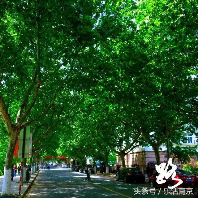 如果可以，请留在南工！浦珠南路30号，留下了我太多的青春！