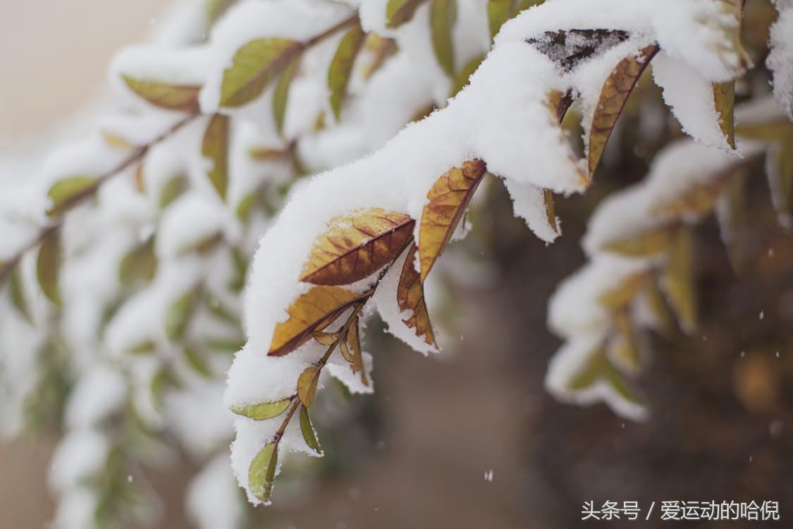 如何选购正宗篮球球鞋,篮球鞋怎么挑选适合的尺码