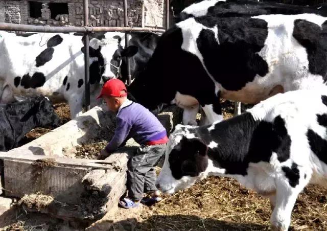 嘉宝信金融,宁夏嘉宝信金融仓储有限公司诉讼