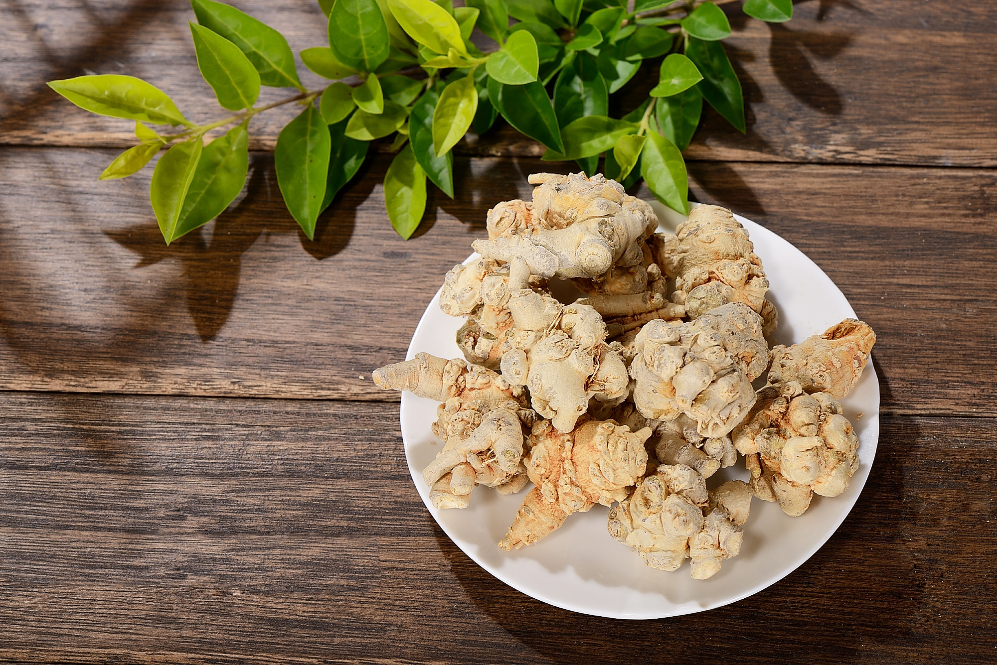 专家教你三七粉祛斑,专家讲三七视频