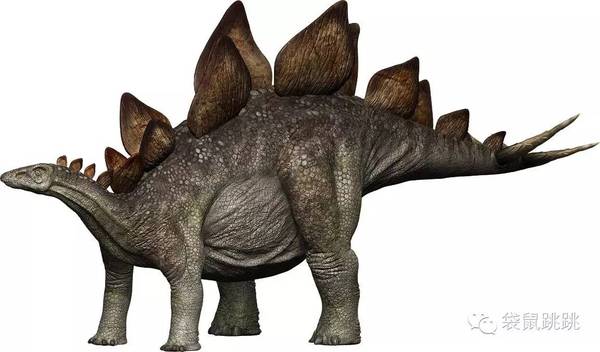 食肉恐龙的绘本,爱吃糖的小恐龙绘本