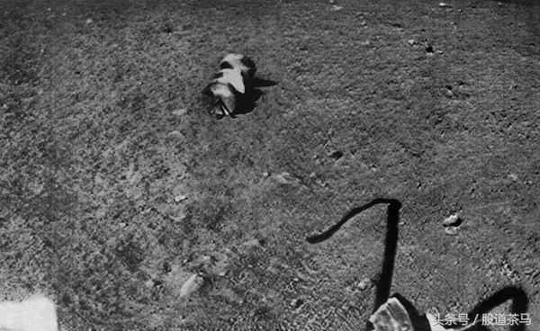 发现奇怪物体视频,发现很奇怪的东西图片