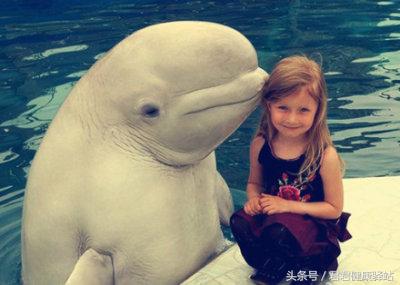 经常生气的十种病,经常生气的8种疾病