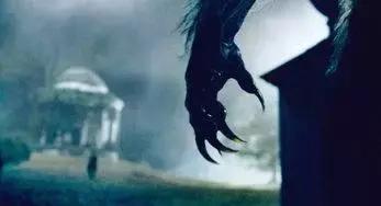 狼人杀白狼王对局,狼人杀狼王和白狼王剧情