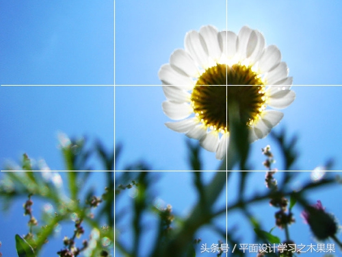 平面设计中多张图片效果,平面设计细节展示布局