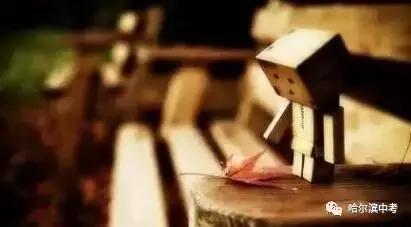 哈尔滨中考化学探究题解题技巧,哈尔滨中考化学必考知识点